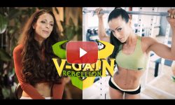 <h4>Video</h4>V-Gain Rebellion